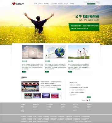 青浦設(shè)計(jì)服務(wù)與軟件開(kāi)發(fā) 打造全方位品牌與數(shù)字化解決方案