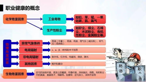 升級版職業(yè)安全與健康管理培訓(xùn) 構(gòu)建全面健康管理體系，賦能員工與組織