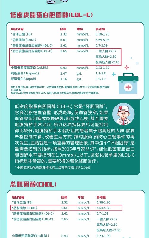 血脂健康管理 主動干預(yù)，守護(hù)生命之源